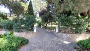 a stone path in a park with trees and bushes at Casa Jolie in Vale do Lobo