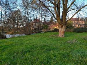 a tree in the middle of a grassy field at Tranquillitude au Moulin Bouquet in La Chapelle-aux-Chasses