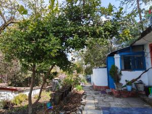 ein blaues und weißes Haus mit einem Baum daneben. in der Unterkunft Turiya niwas Kasar Devi in Almora