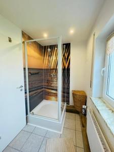 a bathroom with a shower with a glass door at Casa Mona in Gonzerath