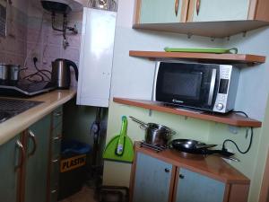 a small kitchen with a microwave on a shelf at Pokoje Gościnne u Elżbiety in Sztutowo