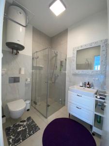 a bathroom with a shower and a sink and a toilet at Juros geismas in Palanga