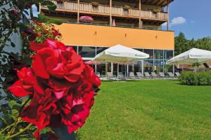 Zahrada ubytování Hotel Angerer-Hof
