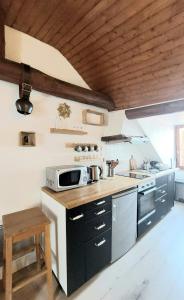 cocina con encimera y microondas en Chalet charm in the heart of the old town - 40m2, en Annecy