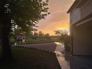 Agriturismo Redó外面的花园