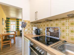 uma cozinha com um lavatório e uma bancada em Apartment Kiebitzweg-1 by Interhome em Sehestedt