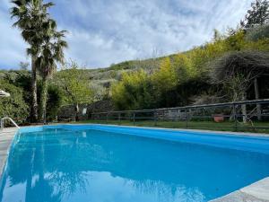 una piscina azul con una palmera y una valla en Apartment Asplanato - DOL162 by Interhome, en Lecchiore