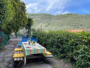 Príroda v okolí apartmánu