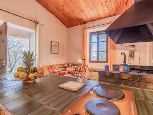 een keuken en een woonkamer met een tafel en een fornuis bij Holiday Home La Chênaie - ORN309 by Interhome in Oraison