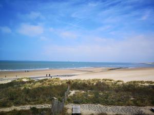 SchoondijkeにあるHoliday Home Helmrich by Interhomeの砂浜