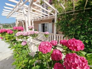 a bunch of pink flowers in front of a house at Apartments Popadić with parking in Herceg-Novi