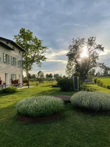 Agriturismo Redó外面的花园
