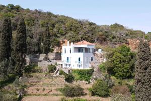 a large white house on a hill with trees at villa eirini in Kourélion