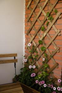 a fence with pink flowers on a brick wall at Mileva apartman in Kikinda