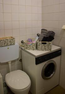 a bathroom with a washing machine and a toilet at Mileva apartman in Kikinda