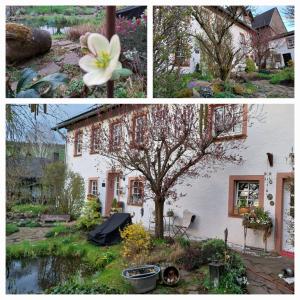 a collage of two pictures of a house and a flower at Ferienwohnung Zum Jehöschnis in Gerolstein