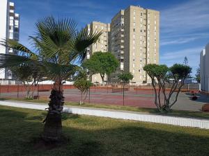 una palmera en un parque con una pista de tenis en Apartamento Bajo en Valdelagrana, Primera Línea de Playa, en El Puerto de Santa María