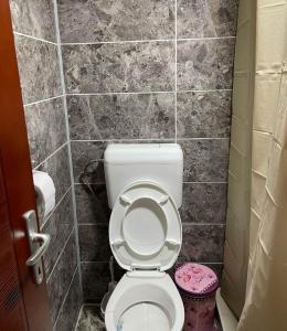 a bathroom with a toilet and a tiled wall at ŽUBOR VRELA in Despotovac