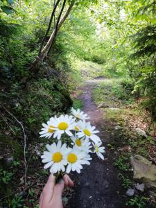 Paesaggio naturale nelle vicinanze dell'appartamento