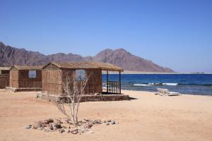 a couple of huts on a sandy beach near the water at New Droub Camp in Nuweiba