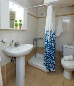 une salle de bains avec lavabo, toilettes et douche dans l'établissement Mat Old Town Apartments B, à Réthymnon