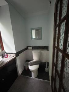 巴茅思的住宿－Bronallt，一间带卫生间、水槽和镜子的浴室