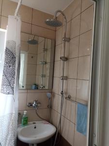 a bathroom with a shower and a sink at Stan Zenica in Zenica