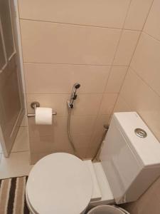 uma casa de banho com um WC branco e um rolo de papel higiénico em La crique em Alger