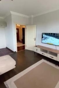 TV a/nebo společenská místnost v ubytování Karabak Villa