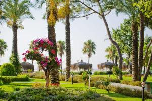 Zahrada ubytování Mirada Del Mar Hotel - Ultra All Inclusive