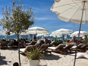 a beach with people sitting in chairs and umbrellas at Sci Camille in Cannes