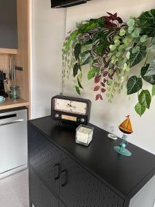 Kjøkken eller kjøkkenkrok på Mobile Homes Fran