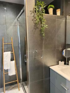 La salle de bains est pourvue d'une douche avec une porte en verre. dans l'établissement Le Best à Cassis,Top emplacement,Parking,double balcon, à Cassis