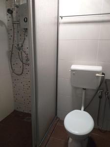 a bathroom with a toilet and a shower at D Riverside Inn in Malacca +46 photos