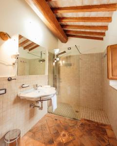 蒙特普齐亚诺Agriturismo Il Serraglio的带水槽和淋浴的浴室