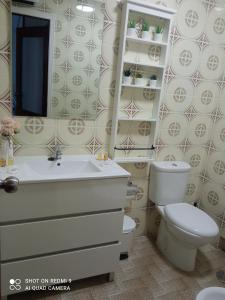 ein Badezimmer mit einem WC, einem Waschbecken und einem Spiegel in der Unterkunft Apto Cortegada in Vilagarcia de Arousa