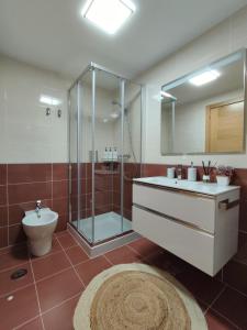uma casa de banho com um chuveiro, um lavatório e um WC. em A Xanela de Balneario em Mondariz-Balneario