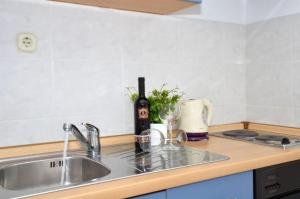 Kuchyň nebo kuchyňský kout v ubytování Apartments Sandy