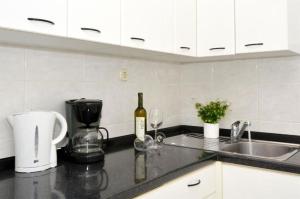 Kuchyň nebo kuchyňský kout v ubytování Apartments Sandy