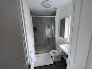 a bathroom with a shower and a toilet and a sink at Birmingham City 2 Bedroom Apartment in Birmingham