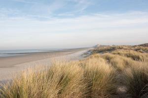 a beach with tall grass and the ocean at Rosa Hotel in Ostend