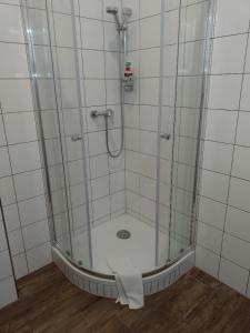 d'une douche avec une porte en verre et une serviette. dans l'établissement Penzion Litohlavy 17 - Na samotě u lesa, à Králŭv Dvŭr