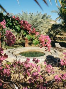 un jardín con un pequeño estanque con flores rosas en Nashdeen Eko Lodge, en ‘Izbat Zaydān