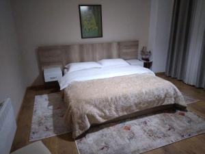 1 dormitorio con 1 cama grande y 1 alfombra en Hotel Roberto, en Korçë