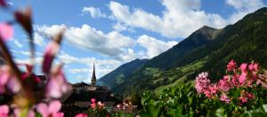 a village in the mountains with pink flowers in the foreground at Pension Felseneck in San Leonardo in Passiria