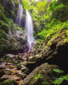 a waterfall in the middle of a forest at Royal Belum Mystical in Gerik