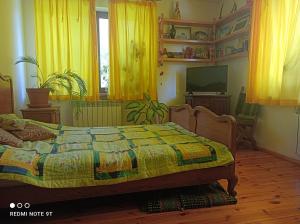1 dormitorio con 1 cama, TV y cortinas amarillas en Miód -Malina, 