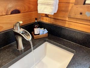 un fregadero con agua procedente de un grifo en Log Cabin with Mountain View and Privacy, en Blue Ridge