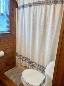 y baño con aseo y cortina de ducha. en Log Cabin with Mountain View and Privacy, en Blue Ridge