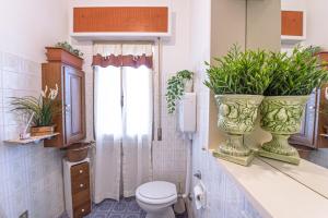 a bathroom with a toilet and plants on a counter at La Romana Antica in Madonna di Fornelli +28 photos